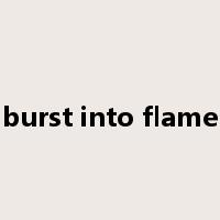 burst into flame是什么意思