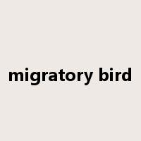 migratory bird是什么意思