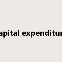 capital expenditure是什么意思