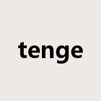 tenge是什么意思
