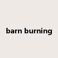 barn burning是什么意思