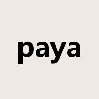 paya是什么意思
