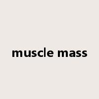 muscle mass是什么意思