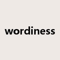 wordiness是什么意思