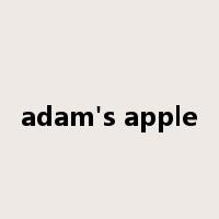 adam's apple是什么意思