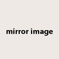 mirror image是什么意思