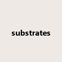 substrates是什么意思