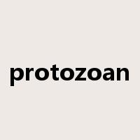 protozoan是什么意思