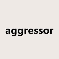aggressor是什么意思