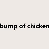 bump of chicken是什么意思