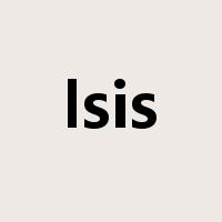 lsis是什么意思