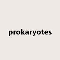 prokaryotes是什么意思