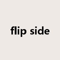 flip side是什么意思