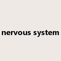 nervous system是什么意思