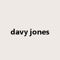 davy jones是什么意思