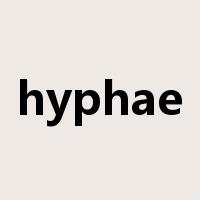 hyphae是什么意思
