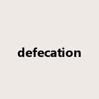 defecation是什么意思