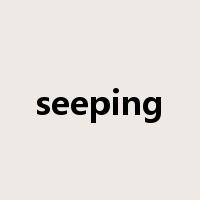 seeping是什么意思