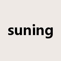 suning是什么意思