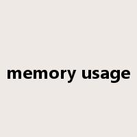 memory usage是什么意思