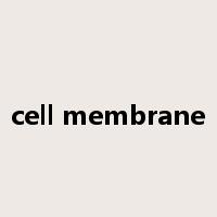 cell membrane是什么意思