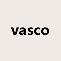 vasco是什么意思