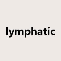 lymphatic是什么意思