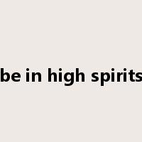 be in high spirits是什么意思