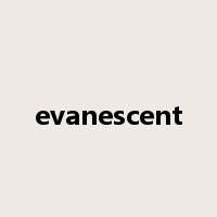 evanescent是什么意思