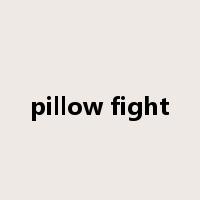 pillow fight是什么意思