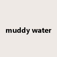 muddy water是什么意思