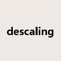 descaling是什么意思