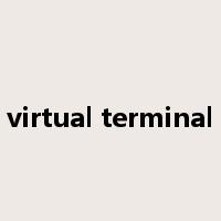 virtual terminal是什么意思