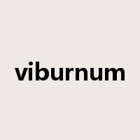 viburnum是什么意思