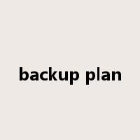 backup plan是什么意思