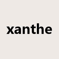 xanthe是什么意思