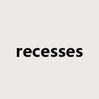 recesses是什么意思
