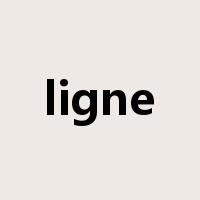 ligne是什么意思