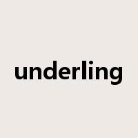 underling是什么意思