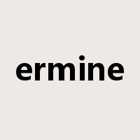 ermine是什么意思