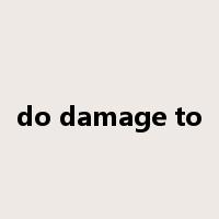 do damage to是什么意思