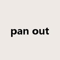 pan out是什么意思