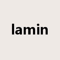 lamin是什么意思