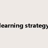 learning strategy是什么意思