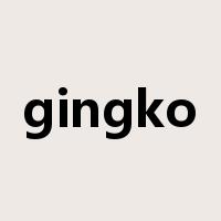 gingko是什么意思