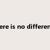 there is no difference是什么意思