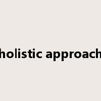 holistic approach是什么意思