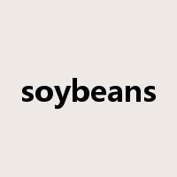 soybeans是什么意思