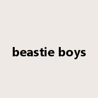 beastie boys是什么意思
