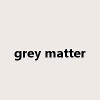 grey matter是什么意思